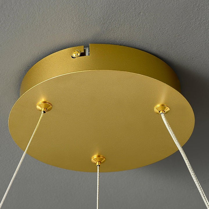 Delicate Acrylic Flower LED Chandelier – Modern Pendant Light